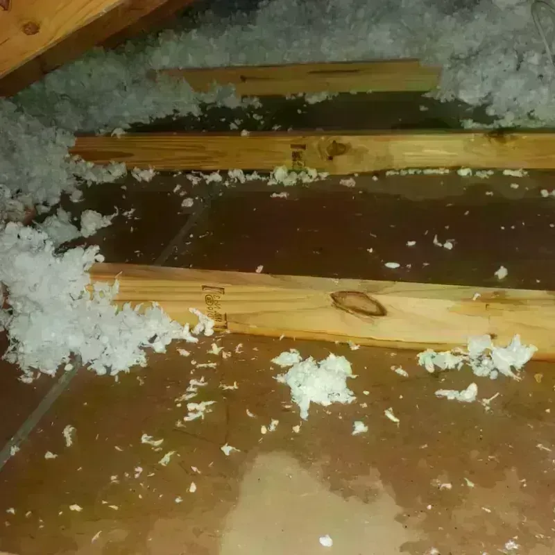 Attic Water Damage in Roberts County, TX