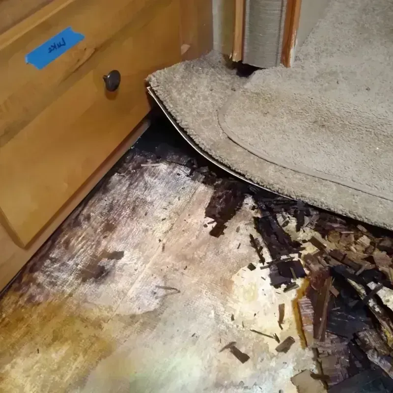 Wood Floor Water Damage in Roberts County, TX